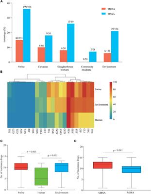 Prevalence of Livestock-Associated MRSA ST398 in a Swine Slaughterhouse in Guangzhou, China